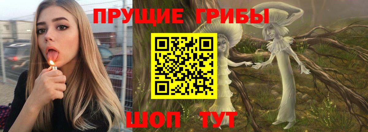 Галлюциногенные грибы Psilocybe  Галлюциногенные грибы Cubensis  даркнет сайт  Кизляр  Вход с VPN 